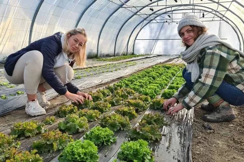 2 jeunes filles travaillant sous une serre