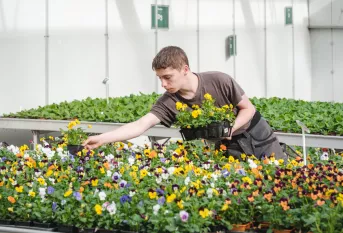 Un jeune en formation horticulture qui travaille dans les serres