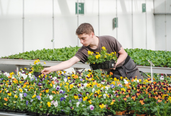 Un jeune en formation horticulture qui travaille dans les serres